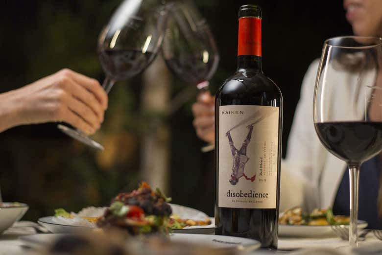 Brindando con una copa de vino tinto