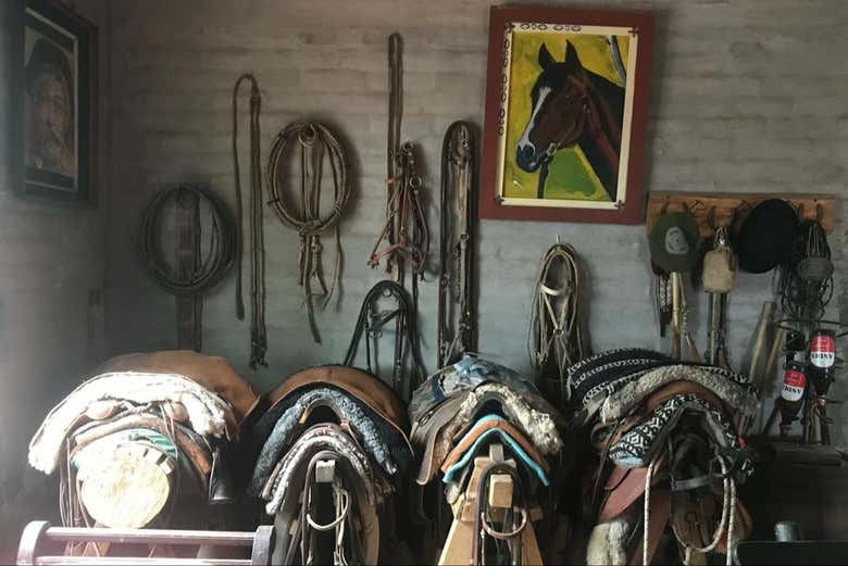 Selle per i cavalli e altri strumenti da equitazione