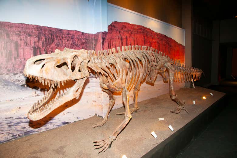 Museo de Ciencias Naturales de San Juan