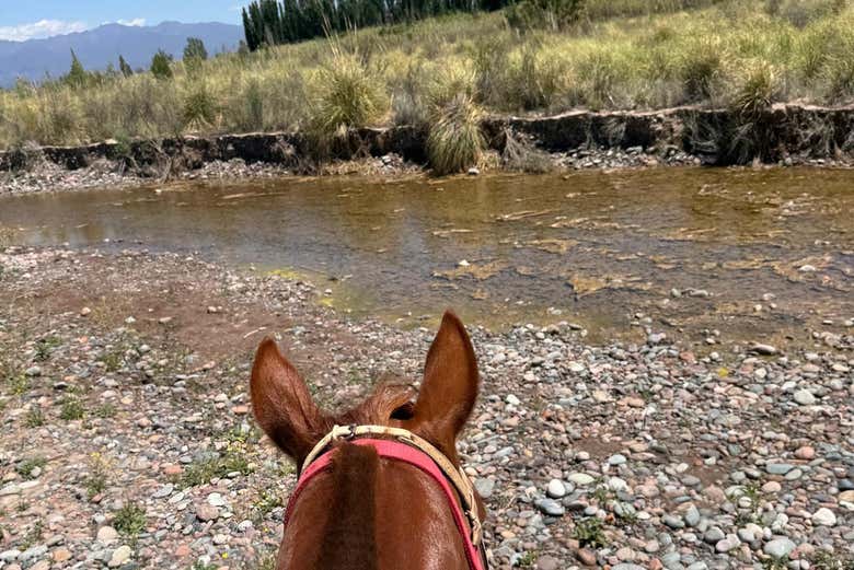 Pasando por la orilla del río Mendoza