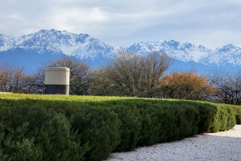 Paisagem da vinícola Alfa Crux