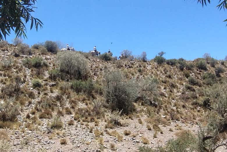 Paesaggio arido di Mendoza