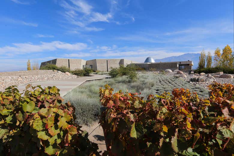 Adega Zuccardi Vale do Uco