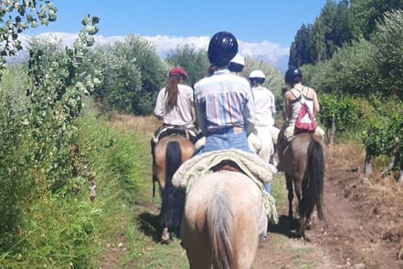 Durante el paseo adentrándonos en el paisaje