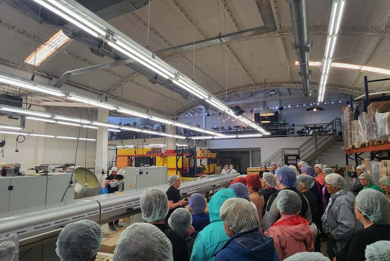 Visita la fábrica de alfajores y chocolates