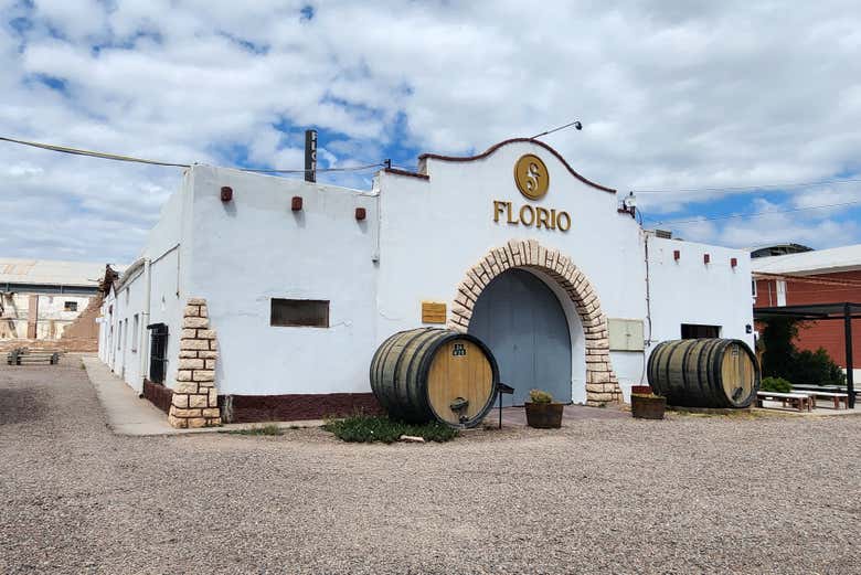 Aprenderéis sobre el vino de Mendoza