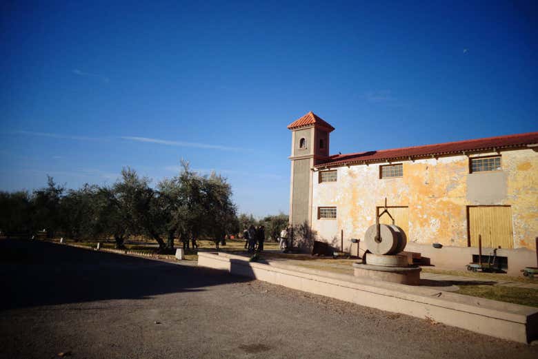 The grounds of one of the wineries