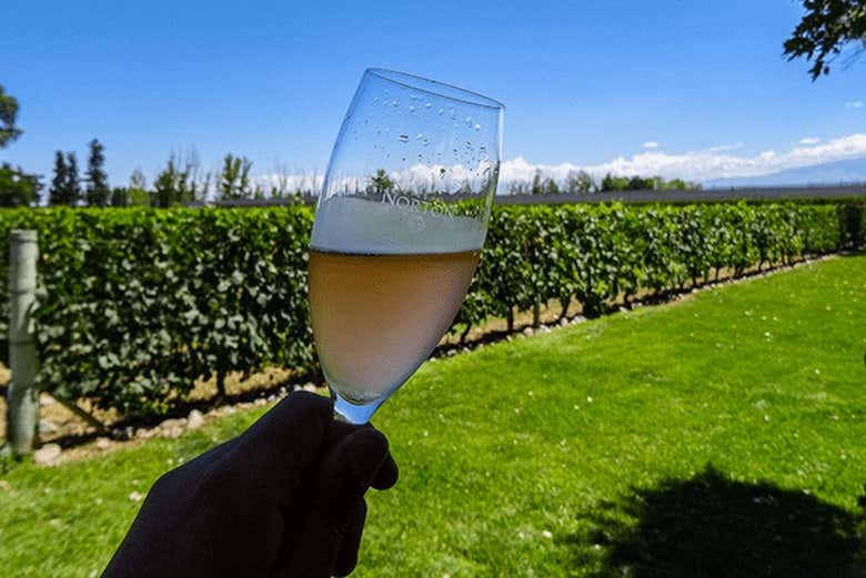 Um vinho espumante da vinícola