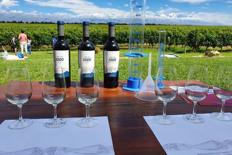 Andeluna wines