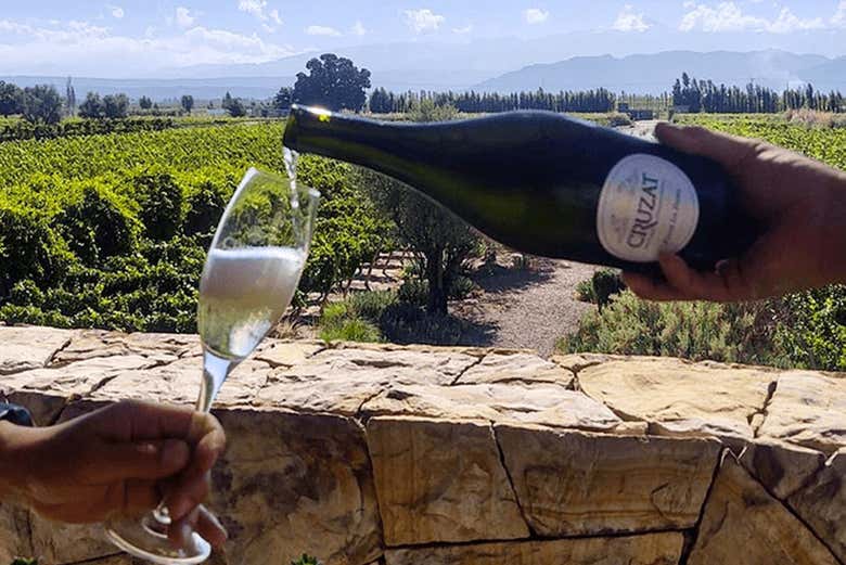 Podréis probar el vino espumoso de esta zona vitivinícola