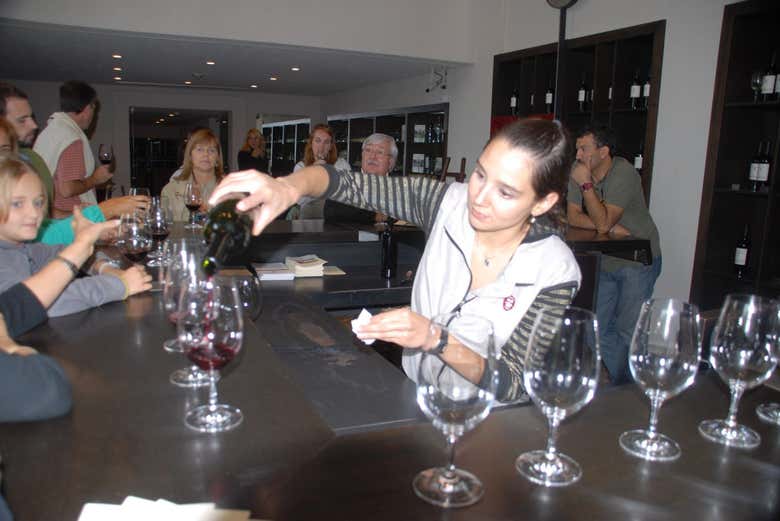 Pronto para experimentar vinho tinto?