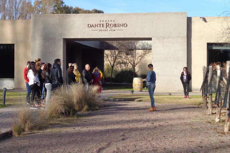 Visiting one of Mendoza's bodegas