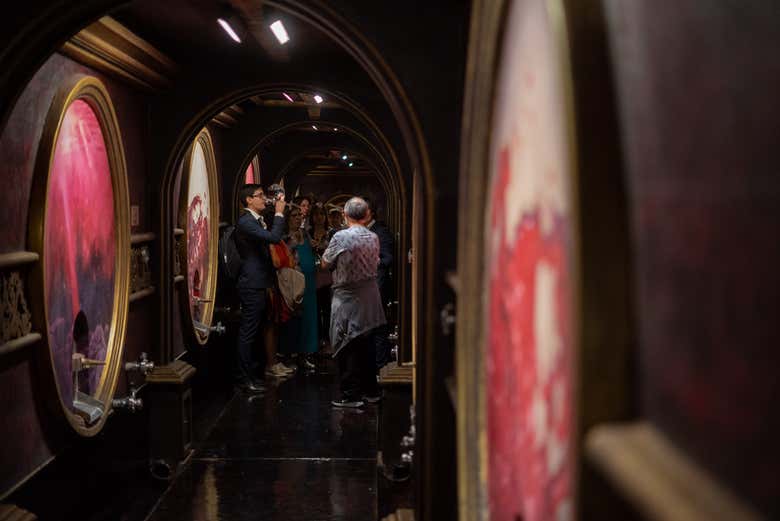 Recorriendo la Bodega Los Toneles