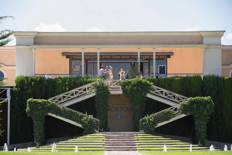 Visite du vignoble Norton