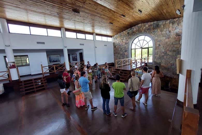 Get to know the wine making process