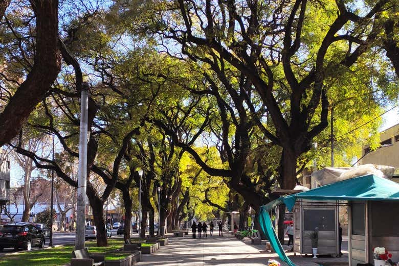 Recorreremos el Paseo de la Alameda