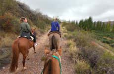 Lunlunta Horse Riding Tour
