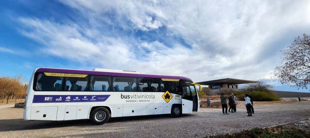 Tour pela zona vitivinícola do Caminho do Vinho El Cepillo
