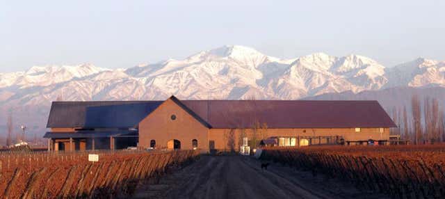Tour do Malbec pela zona vitívinicola de Luján de Cuyo