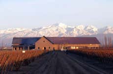 Tour del Malbec por la zona vitivinícola de Luján de Cuyo