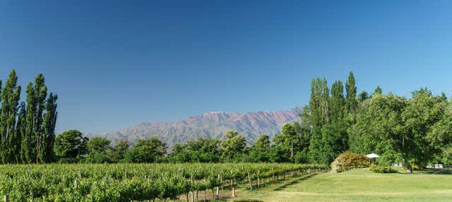 Tour privado por las bodegas del valle de Uco