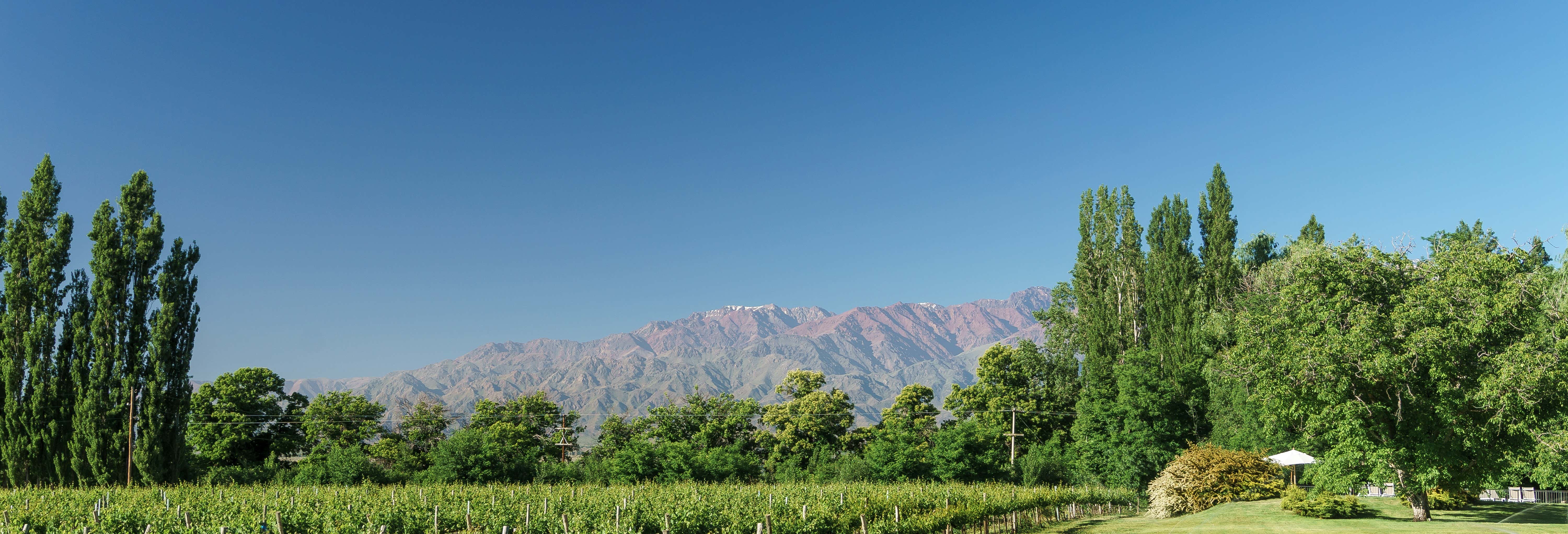 Gastronomia e enoturismo em Mendoza