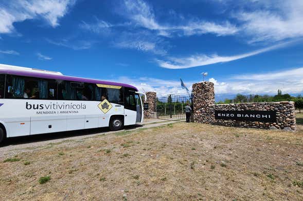 Centre of Uco Valley Wine Region Tour