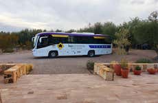 Tour por el sur de la zona vitivinícola de Luján de Cuyo