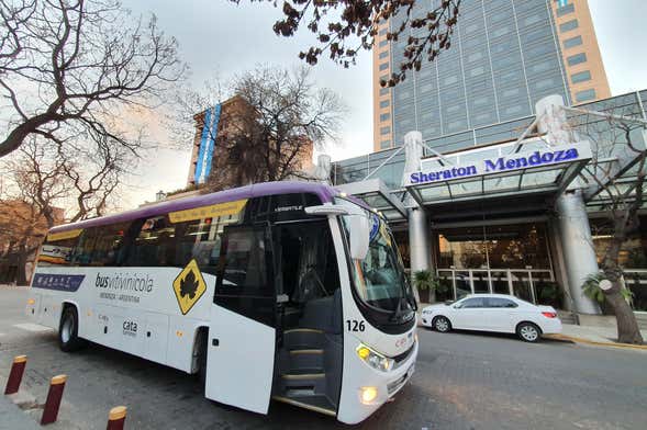 Tour por la zona vitivinícola de Maipú