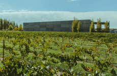 Visita a la bodega Huarpe Riglos