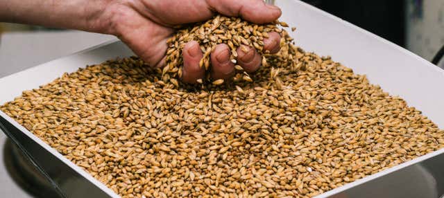 Visita à fábrica de cerveja Chachingo