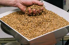 Visita a la fábrica de cerveza Chachingo
