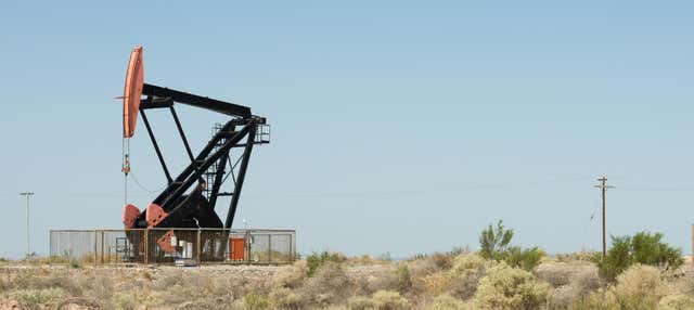 Escursione a Vaca Muerta