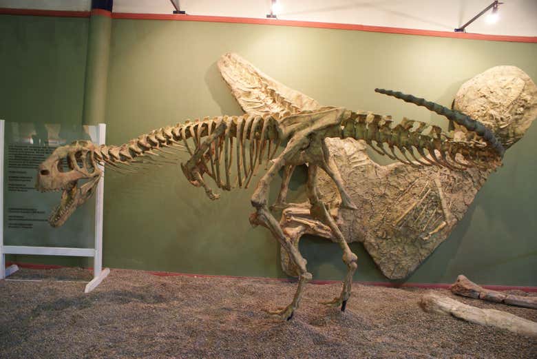 Esqueleto de dinossauro no Museu Carmen Funes