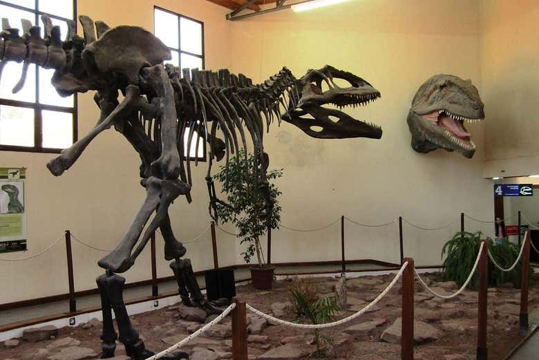 Esqueleto de dinossauro no Museu Ernesto Bachmann