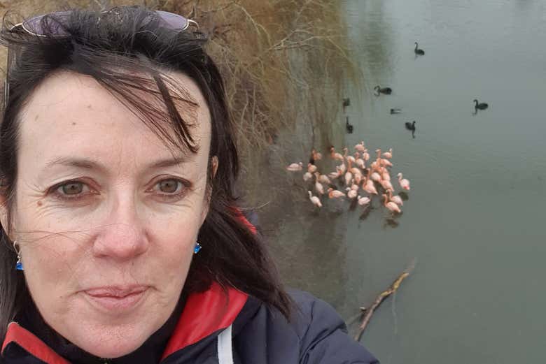 ¡Selfie junto a los flamencos!