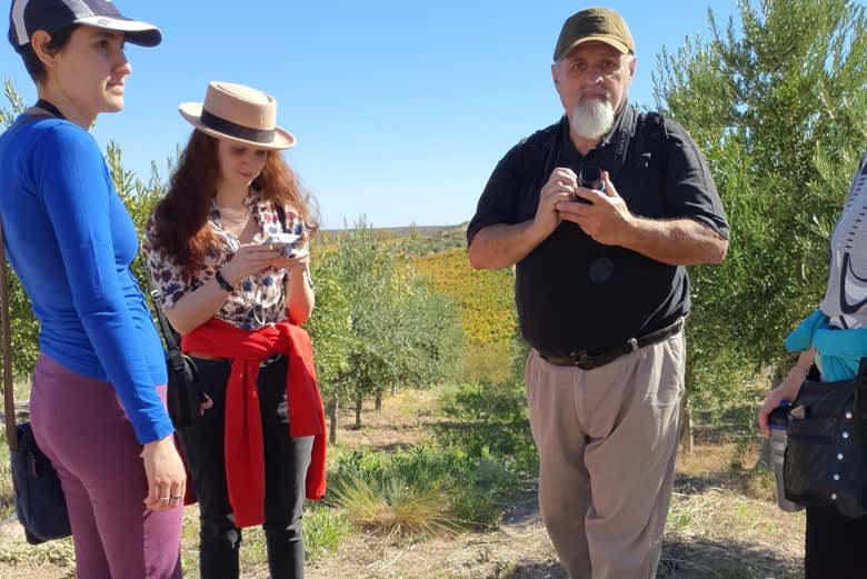 Vinhedos das adegas de Neuquén