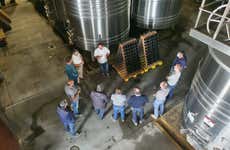 Tour pelas adegas de Río Negro