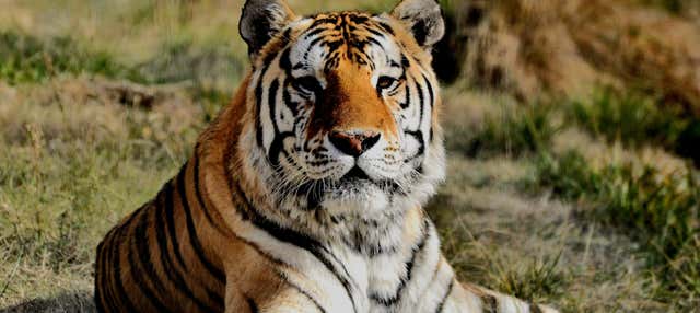 Tour por el valle del río Negro + Ecoparque Bubalcó