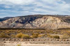Tour pela estepe patagônica + Zoológico Bubalcó