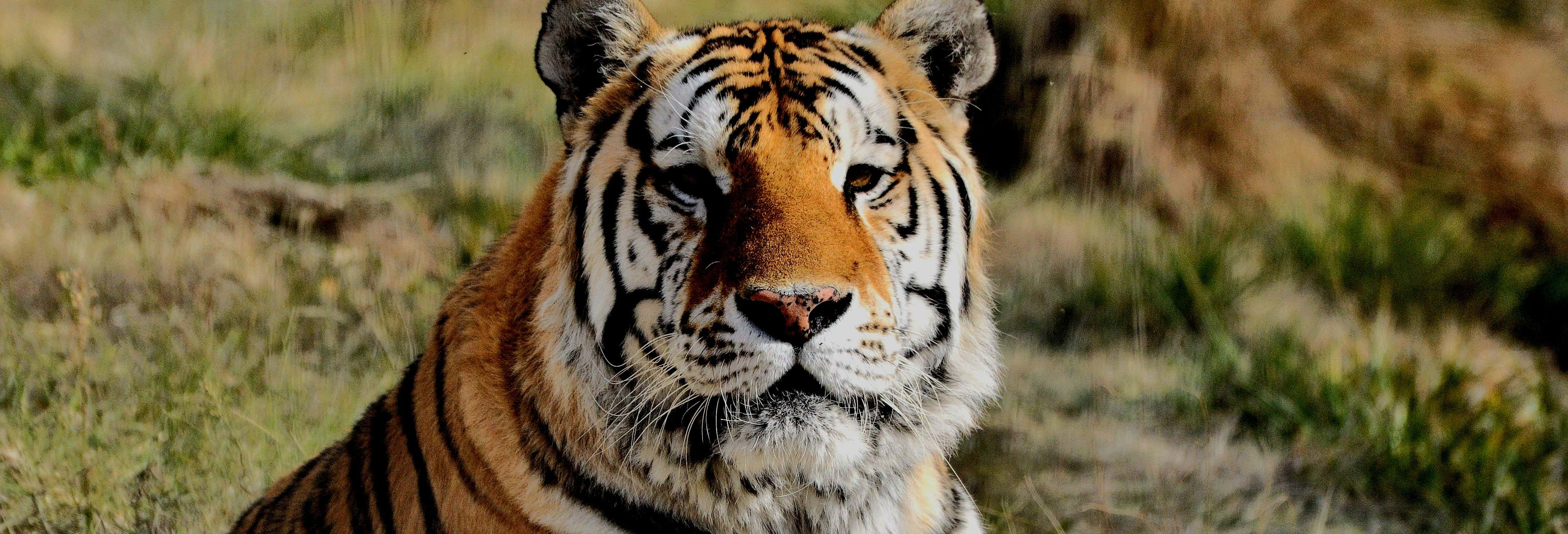 Excursões de um dia em Neuquén