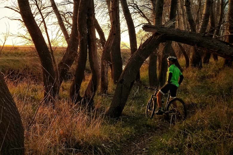 Ruta en bici por Olavarría