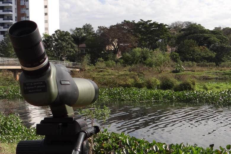 Arroyo Itá Nature Reserve