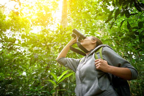 Posadas Tour & Birdwatching