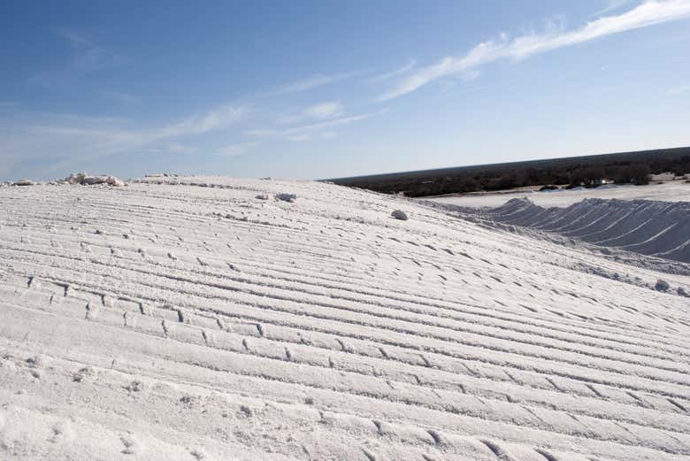 Salines de Bebedero