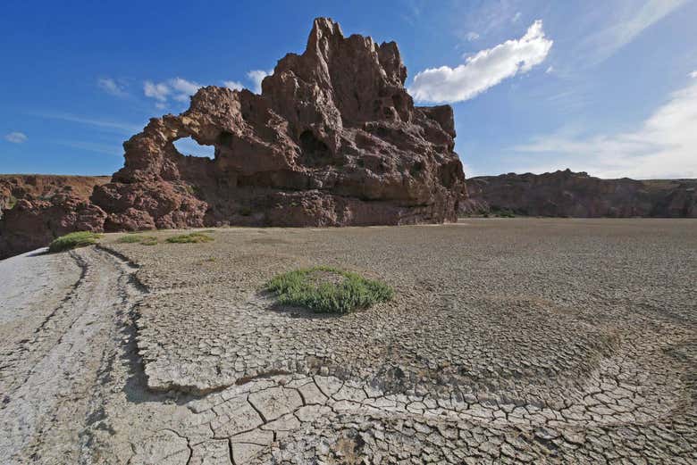 Rocas patagónicas junto al Campamento Darwin