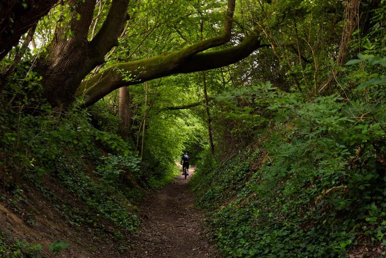 Atravesaremos un verde y frondoso paraje