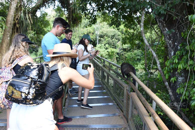 Fotografiando la fauna local