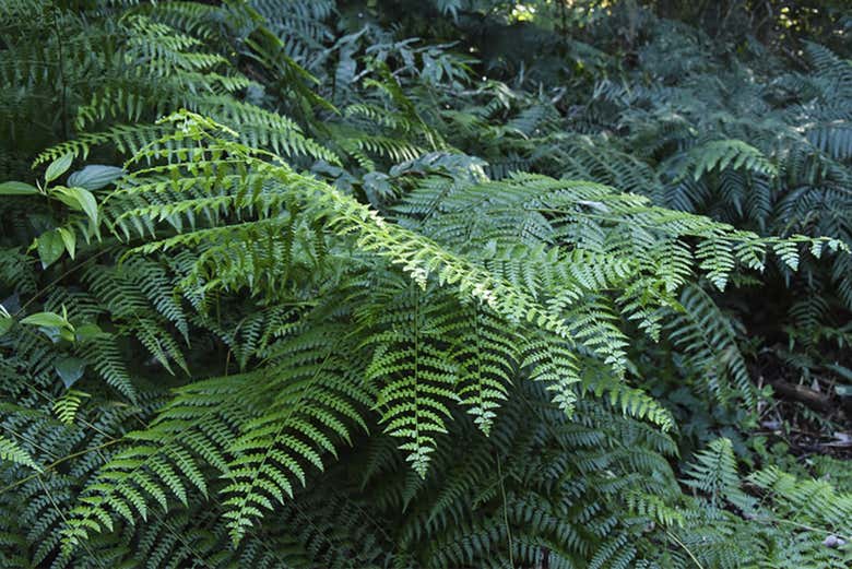 Profitez d'une expérience en pleine nature