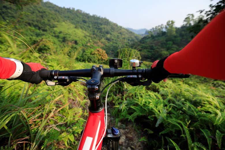 Atravesando en bicicleta la selva de Iguazú